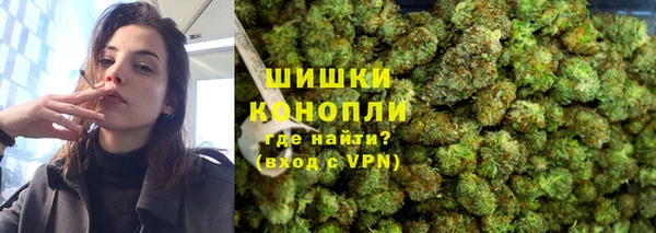 твердый Богородицк