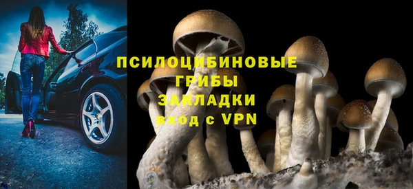 твердый Богородицк