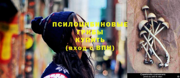 твердый Богородицк