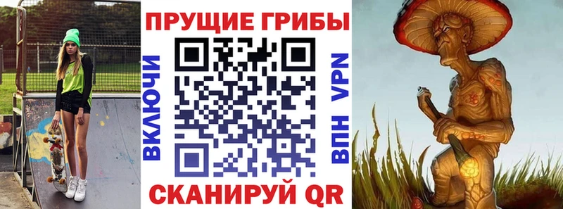 Псилоцибиновые грибы прущие грибы  Купить где  Навашино 